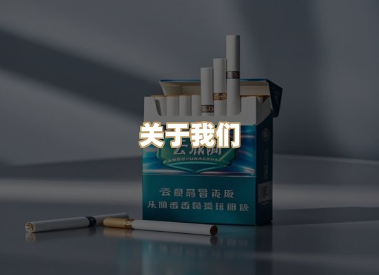 关于蓝帝网